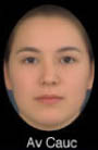 The average European woman face in a sample.