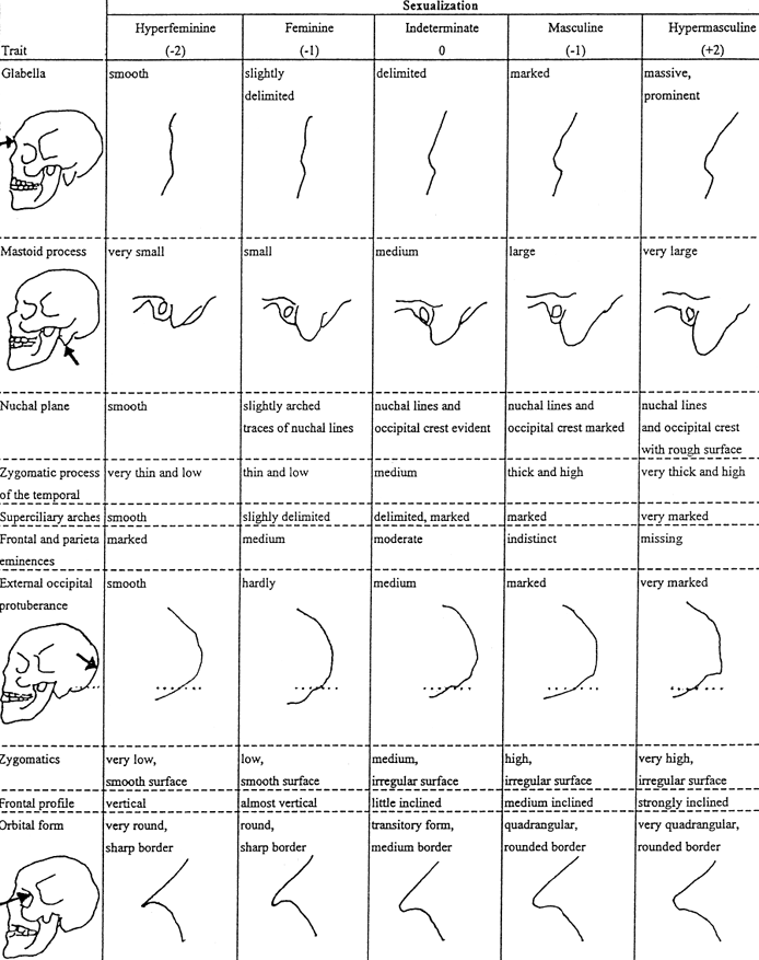 Cranial shape variation related to masculinization and feminization.