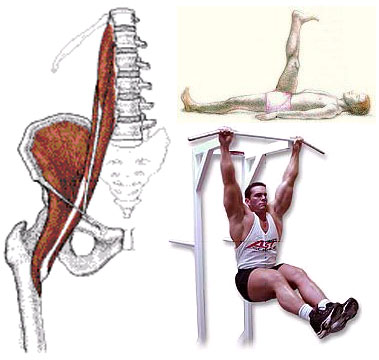The hip flexors and some examples of hip flexion.