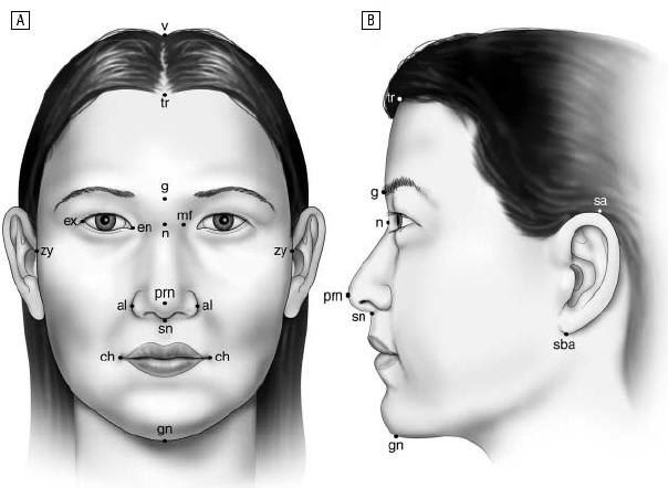 Frontal and lateral views of the average Korean American woman's face.