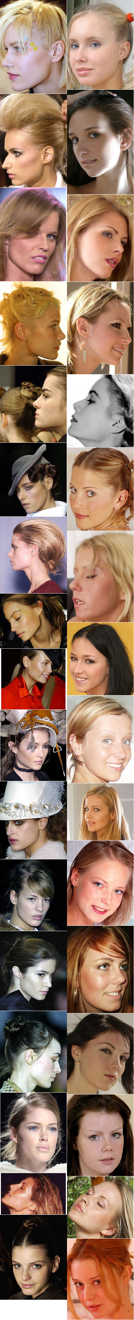 The jaw structure of high-fashion models contrasted with that of feminine glamour models.
